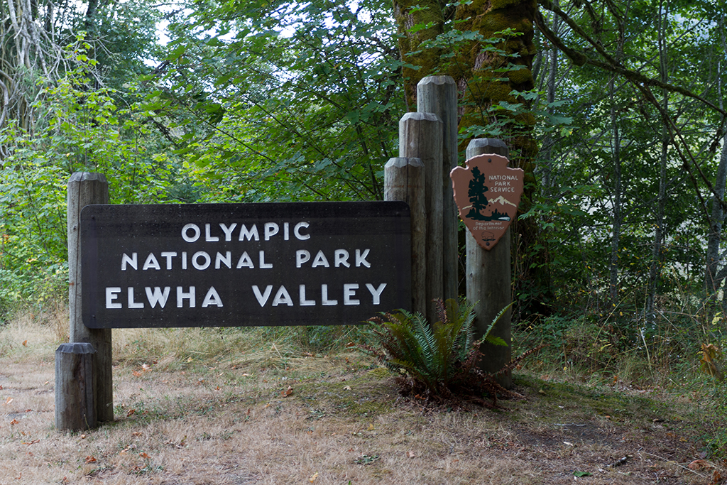 09-22 - 01.jpg - Olympic National Park, WA